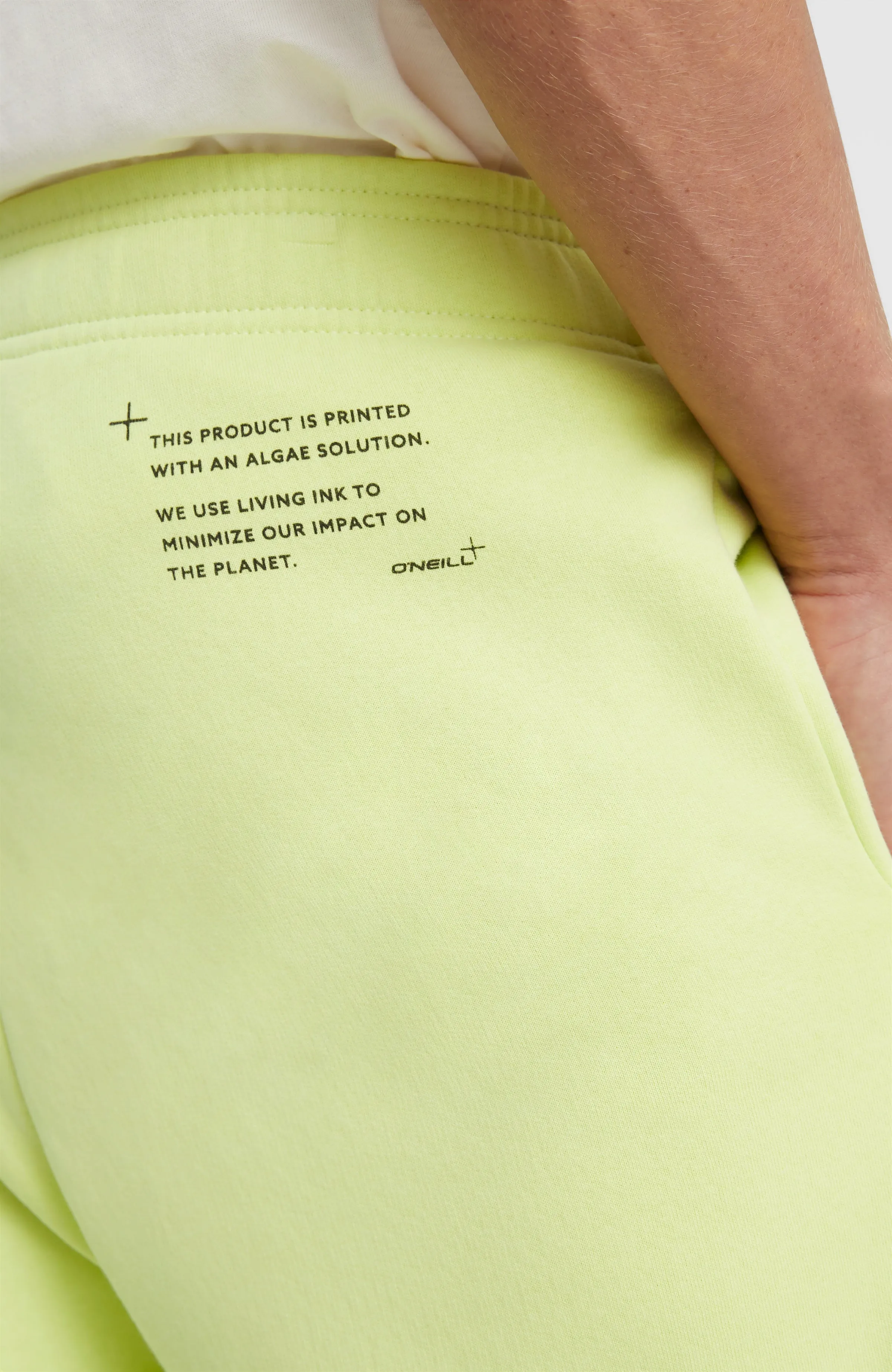 Future Surf Sweatpants | Sunny Lime