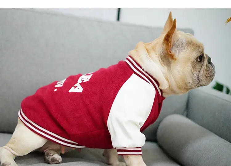 Korea Uni Dog Sweater - Yonsei Uni Inspired Dog Vest - Stylish French and English Bulldog Vests - Fashionable Dog Clothes