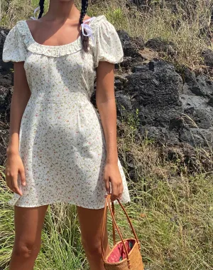 Sasyana Mini Dress in Pretty Petal Ivory